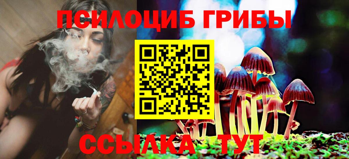 Псилоцибиновые грибы прущие грибы Коломна